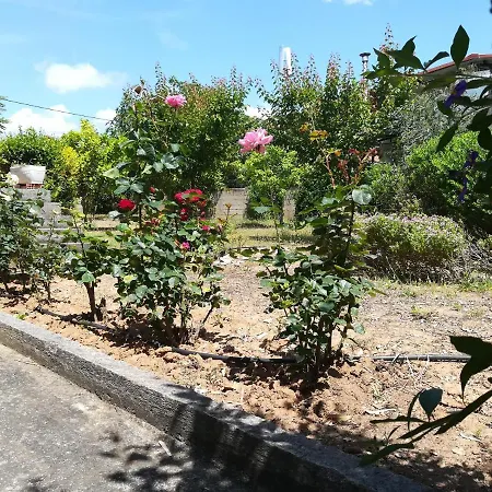 Vakantiehuis Oleander